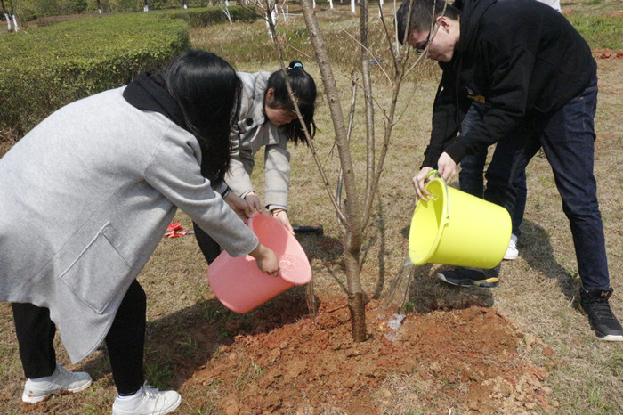 学工处举行2019年植树节活动