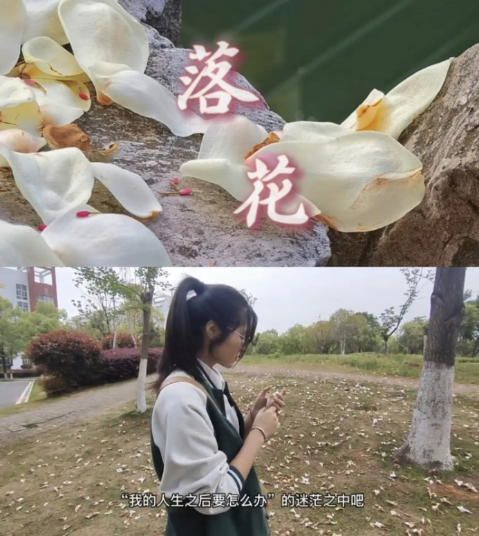 ͼƬ12.png